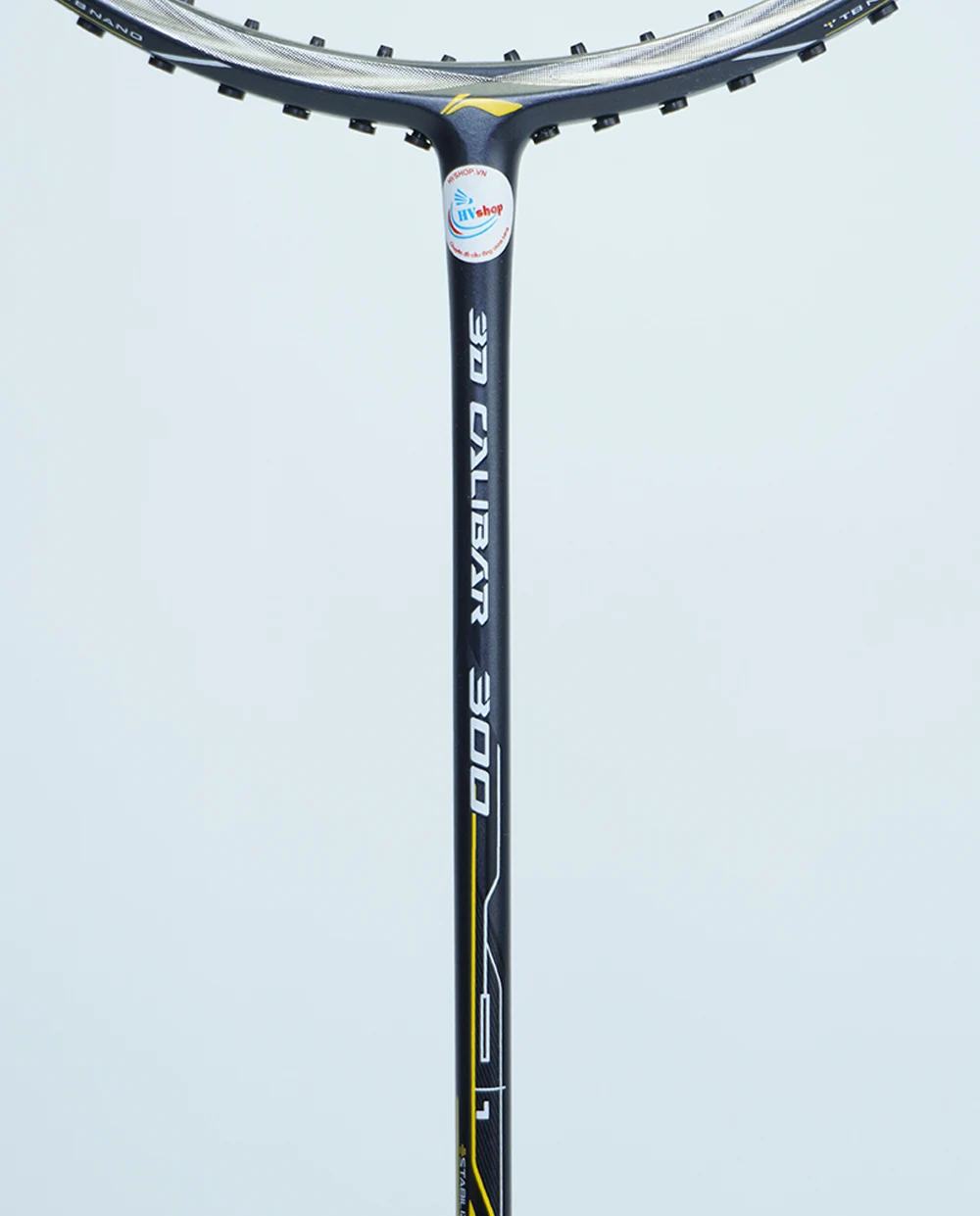 Lining 3D Calibar 300