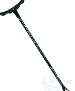 Vợt cầu lông Mizuno Fortius 30 Control - Khung vợt