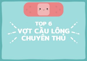 Top 6 vợt cầu lông chuyên thủ đáng mua nhất