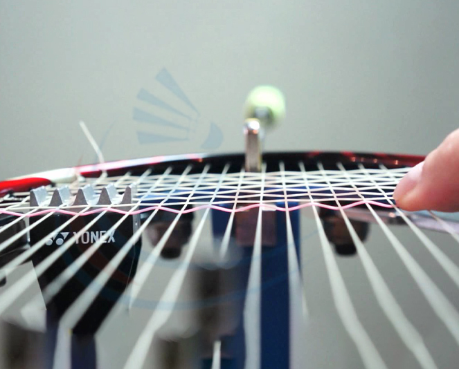 Cách bảo quản vợt cầu lông: Căng đúng mức căng khuyến cáo Cách bảo quản vợt cầu lông: Căng đúng mức căng khuyến cáo