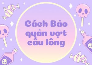 Top 5 cách bảo quản vợt cầu lông tốt nhất