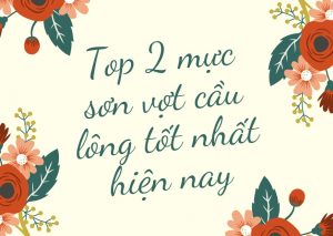 Top 2 mực sơn vợt cầu lông tốt nhất hiện nay