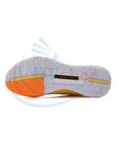 Giày cầu lông Lining AYZR008-2 | HVShop