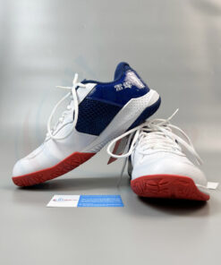 Giày cầu lông Lining AYTS020-4