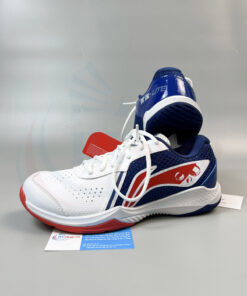 Giày cầu lông Lining AYTS020-4