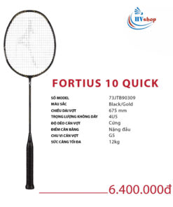 Mizuno Fortius 10 Quick