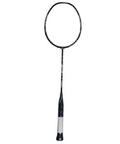 Vợt cầu lông Apacs STERN 200