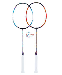 Kawasaki Passion P23