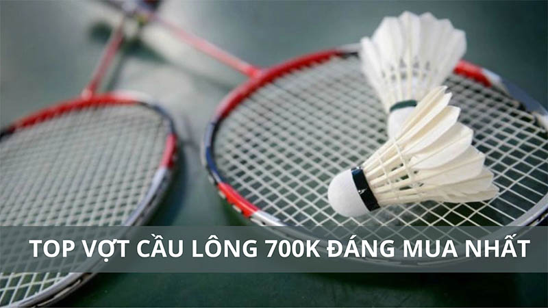 Top 9 vợt cầu lông 700k đáng chơi dành cho học sinh, sinh viên 