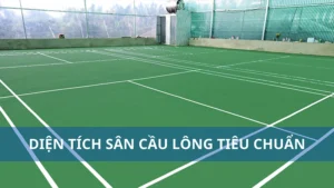 Diện tích sân cầu lông đơn và đôi đúng chuẩn