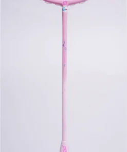 Vợt cầu lông Pro Universe