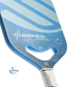 Selkirk AMPED Pro Air - Epic Holderness