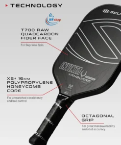 Selkirk VANGUARD Control - S2