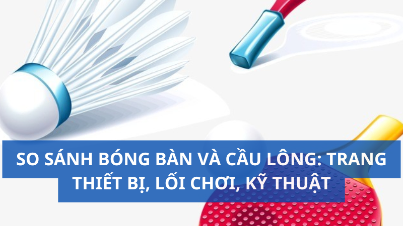 So sánh bóng bàn và cầu lông: Trang thiết bị, lối chơi, kỹ thuật