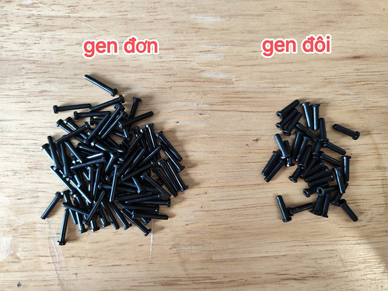 Các loại gen vợt cầu lông hiện nay