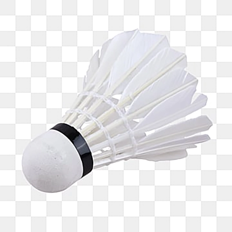 Chi tiết quả cầu lông