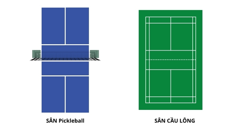 So sánh mặt sân cầu lông và sân pickleball