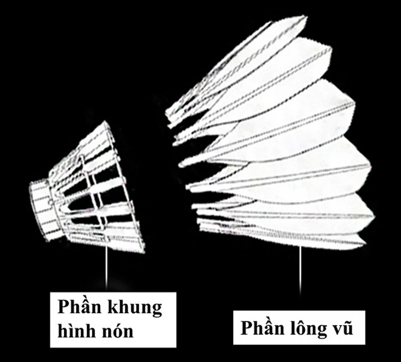 Quy định về quả cầu lông