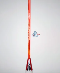 Fleet Evolution - đũa vợt